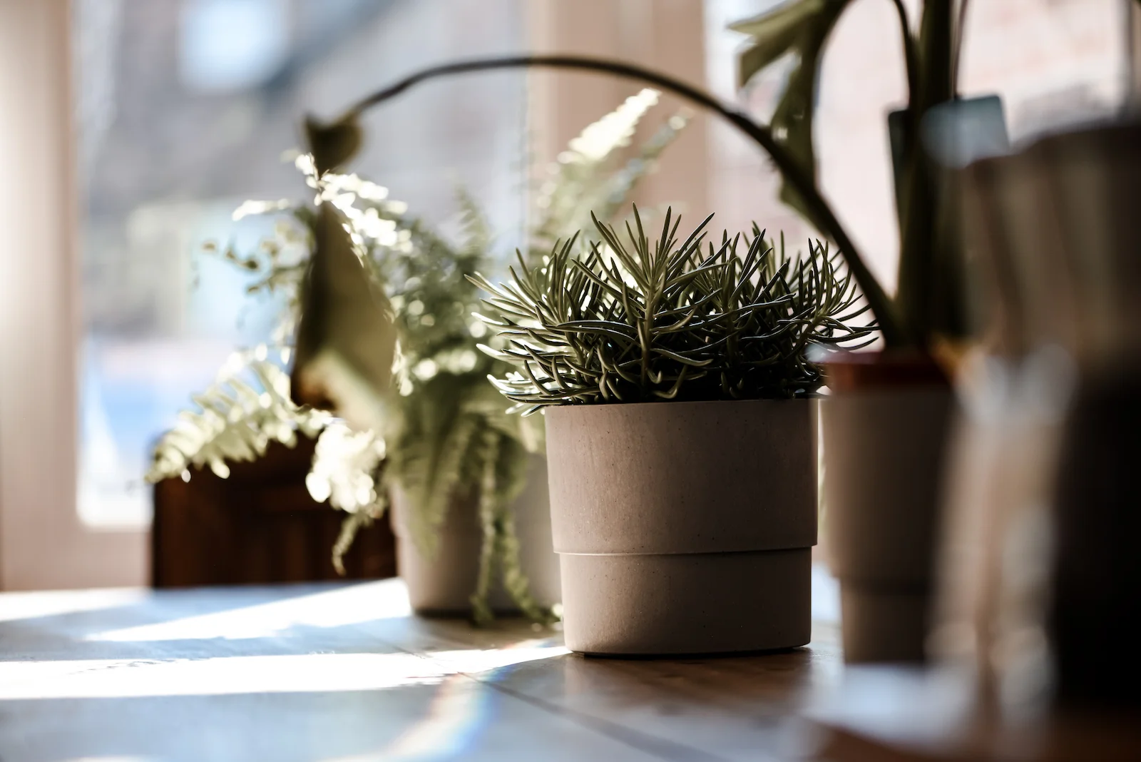 Brand Photographer Manchester